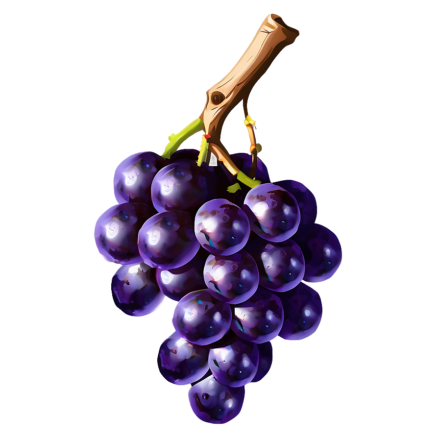 Grape Art Png Lls11