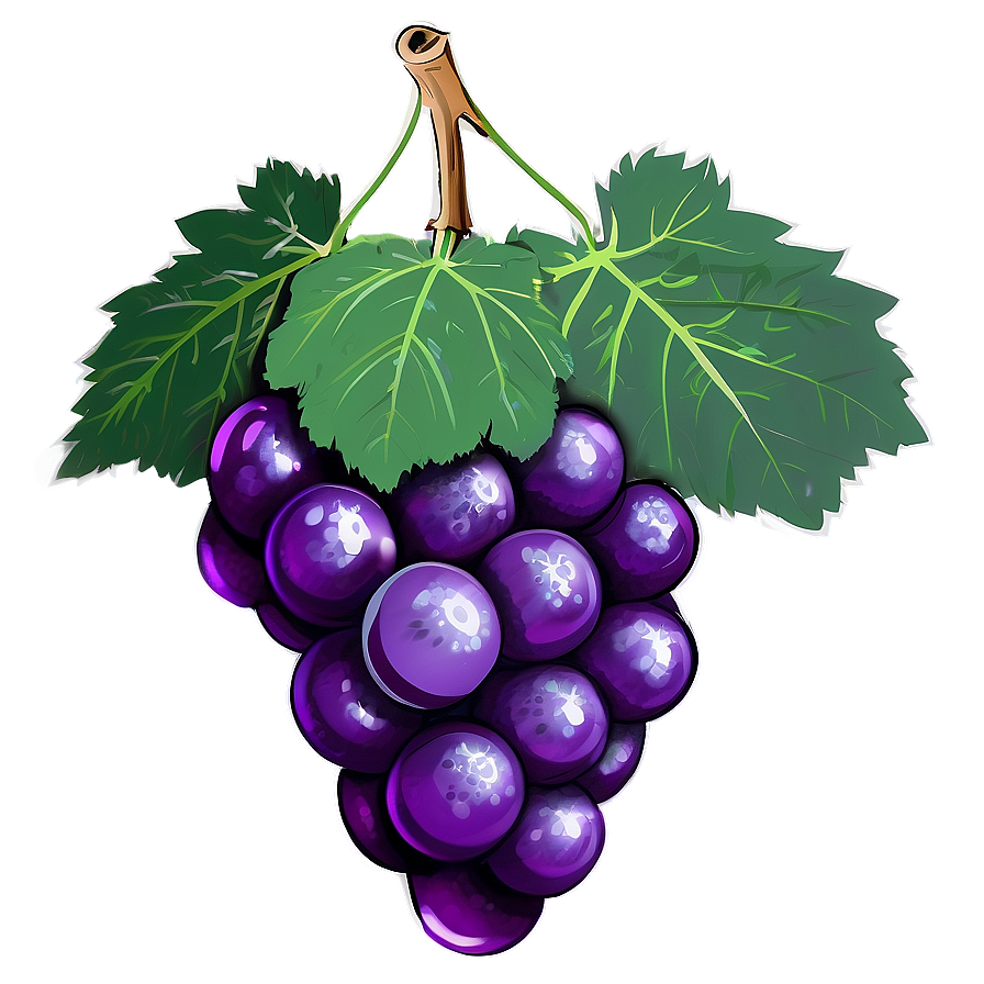 Grape Drawing Png 05212024