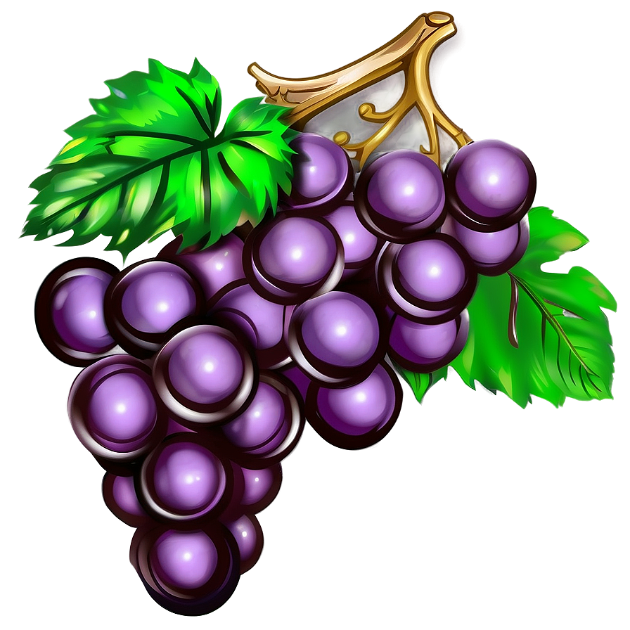 Grape Drawing Png Yna