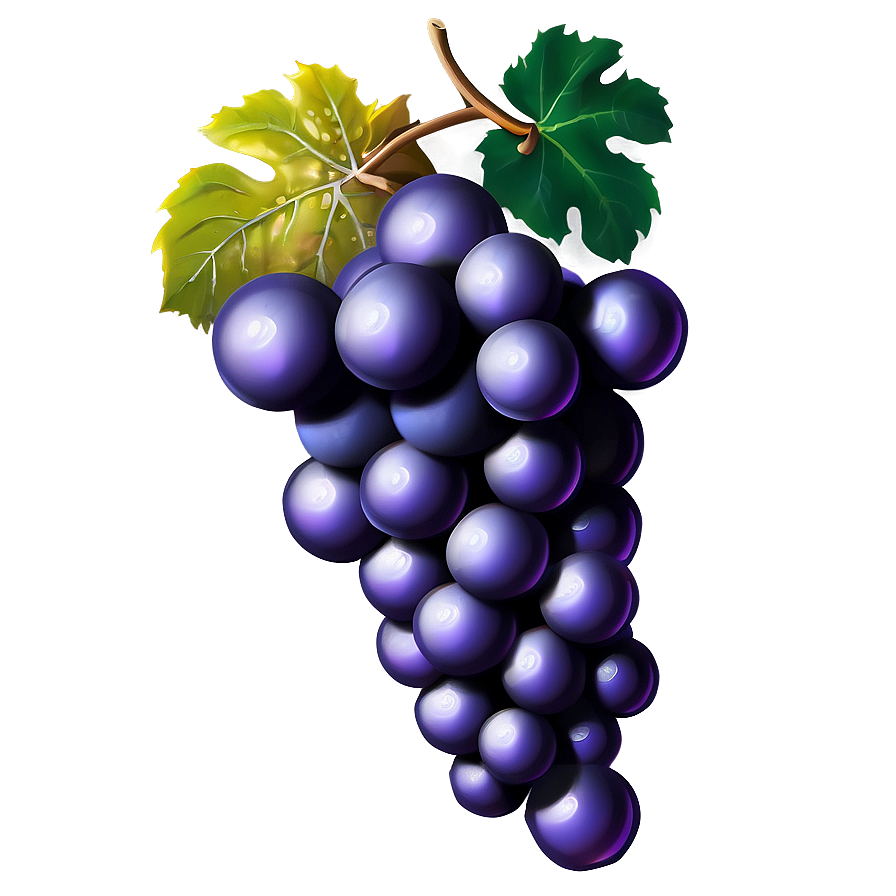 Grape Icon Png Sen31