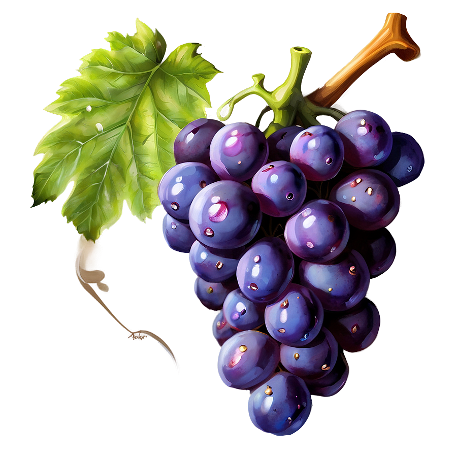 Grape Illustration Png 3