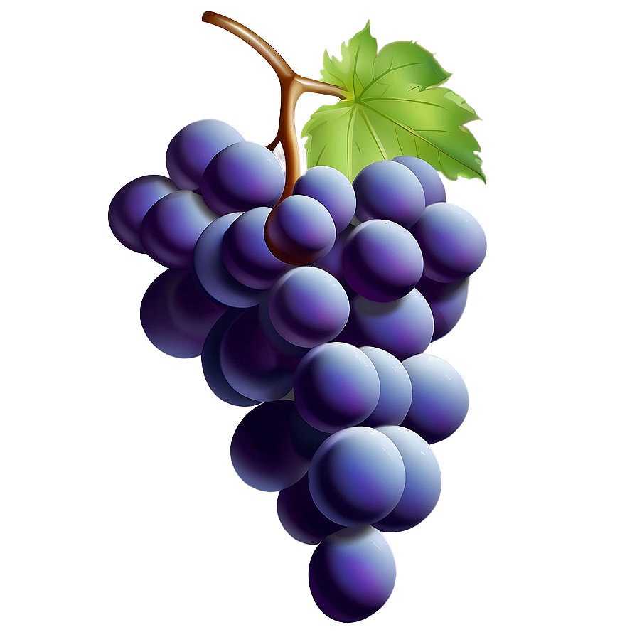 Grape Illustration Png 45