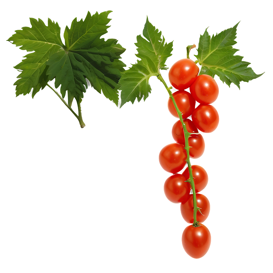 Grape Tomatoes Png Obg