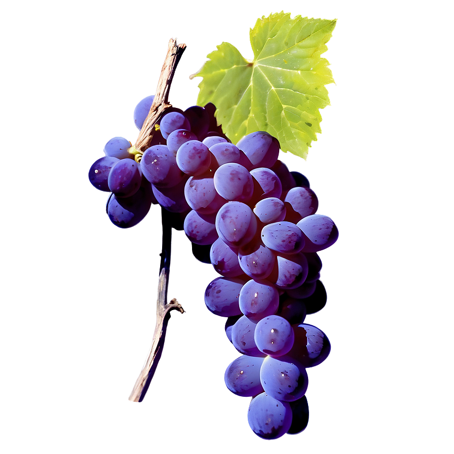 Grape With Shadow Png Hxr