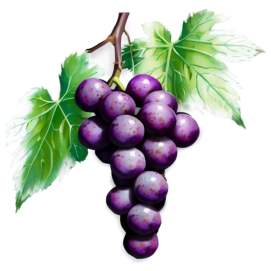 Grapes Graphic Png Ljk74