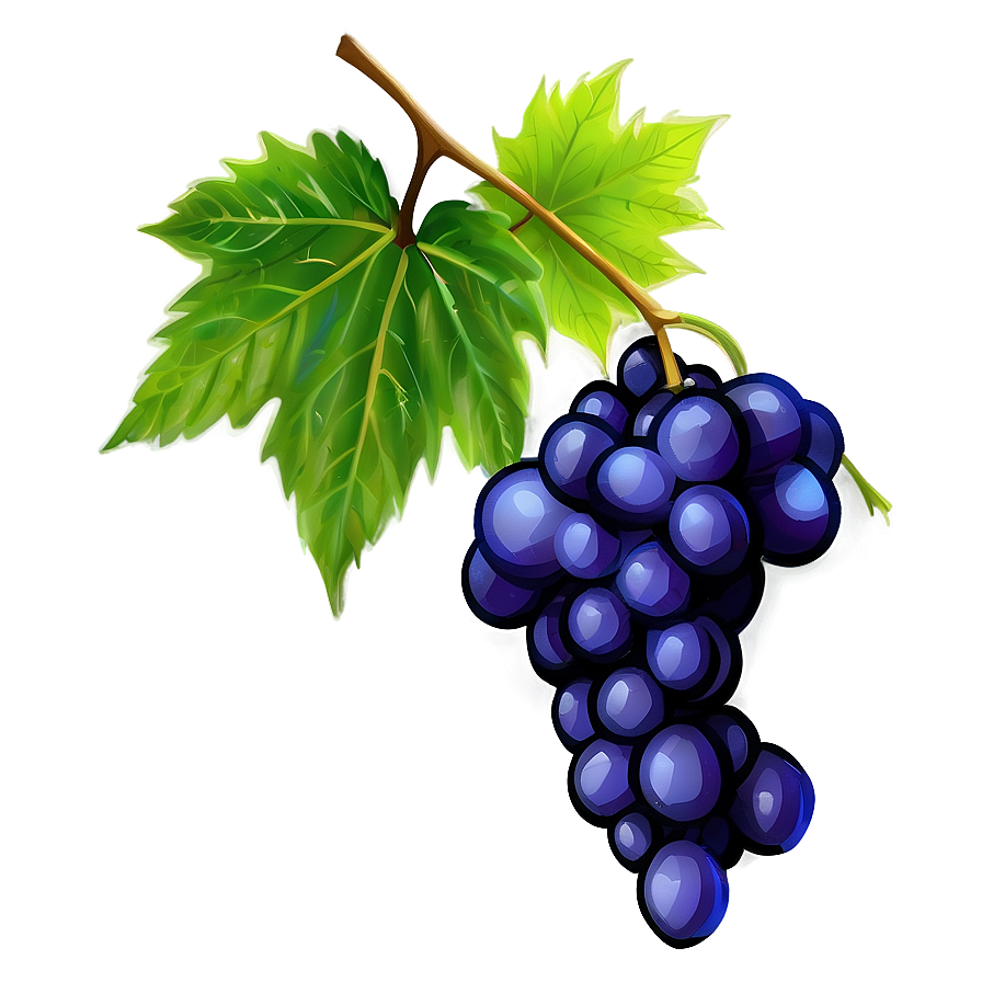 Grapes On Vine Png Hxi22