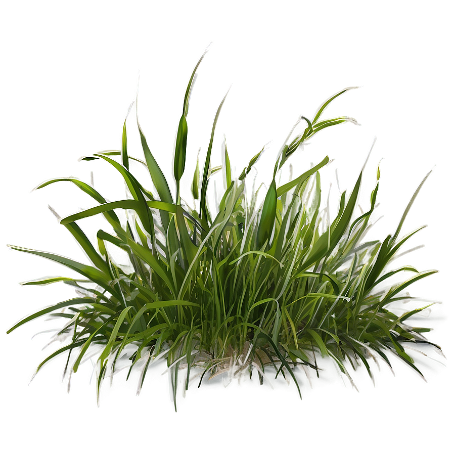 Grass Background Clipart Png Amm