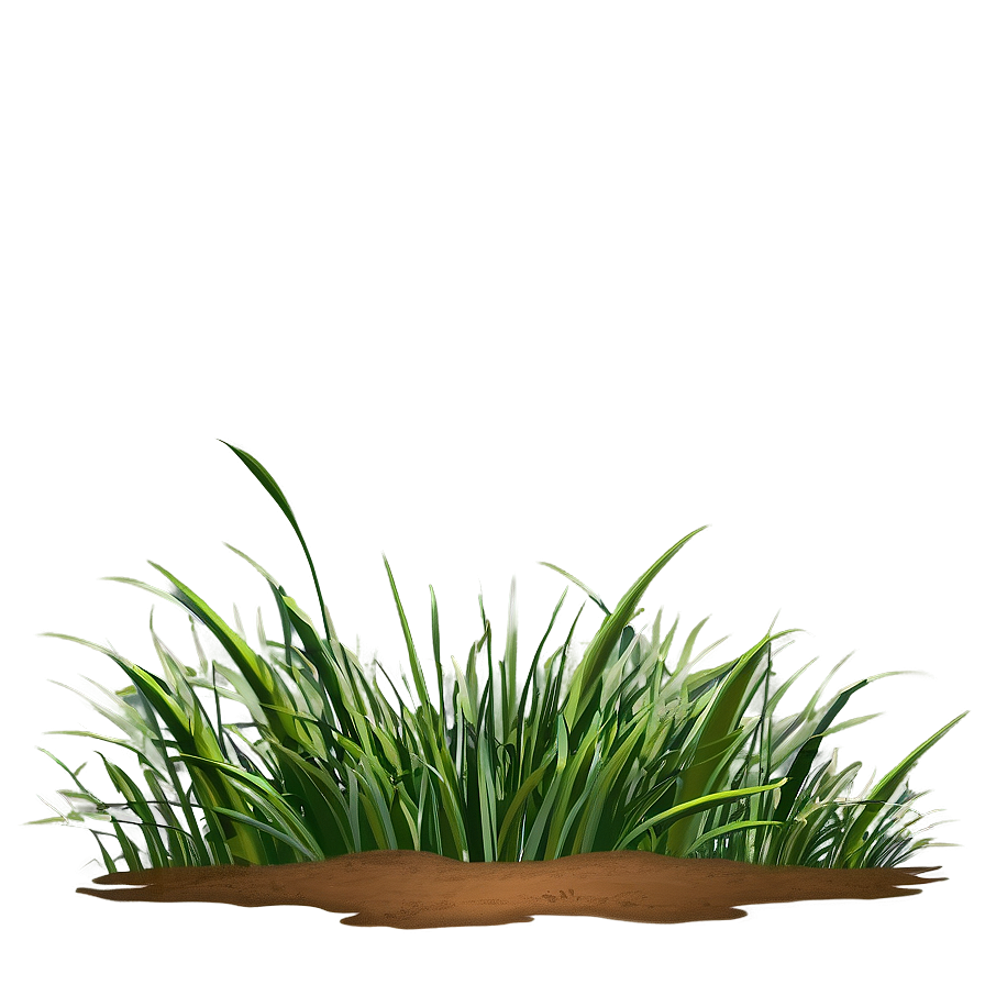 Grass Clipart Compilation Png 06272024