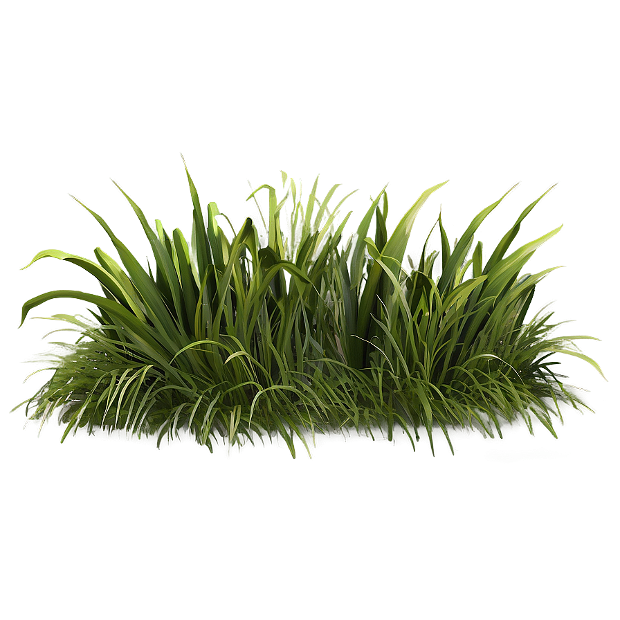 Grass Field Clipart Png 06272024