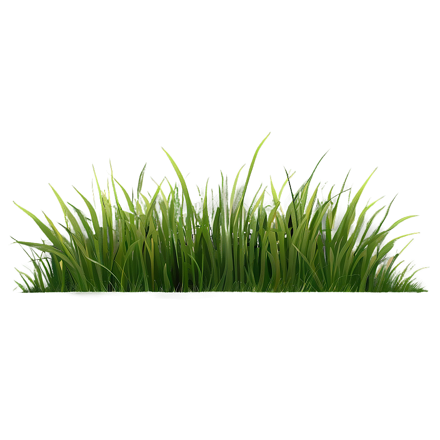 Grass Silhouette Clipart Png 06272024