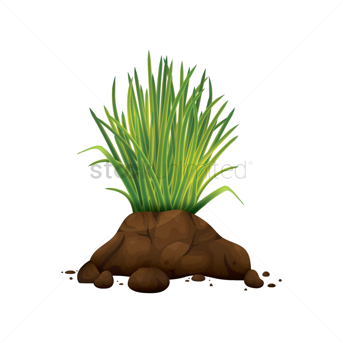 Grass Tufton Soil Mound