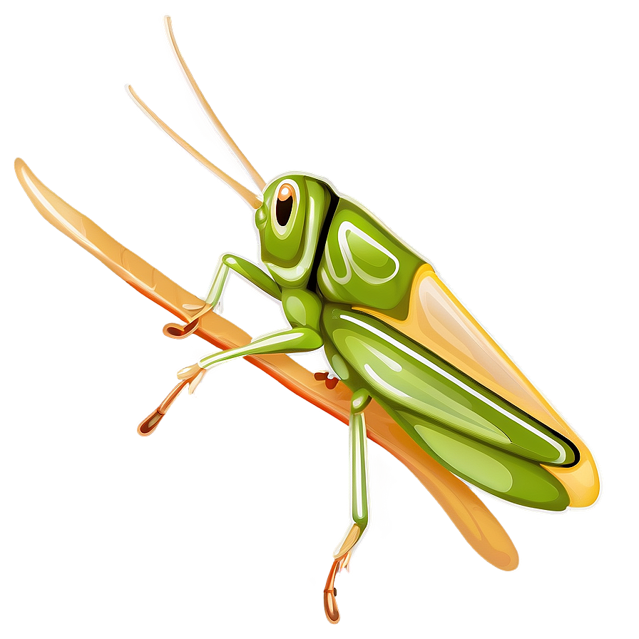 Grasshopper With Transparent Wings Png Dej39