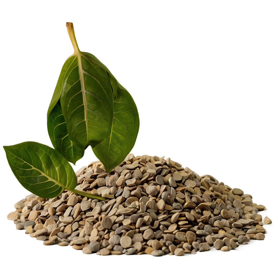 Gravel With Leaves Png Hxp