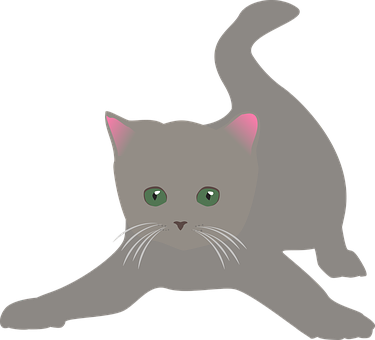 Gray Kitten Stretching Illustration