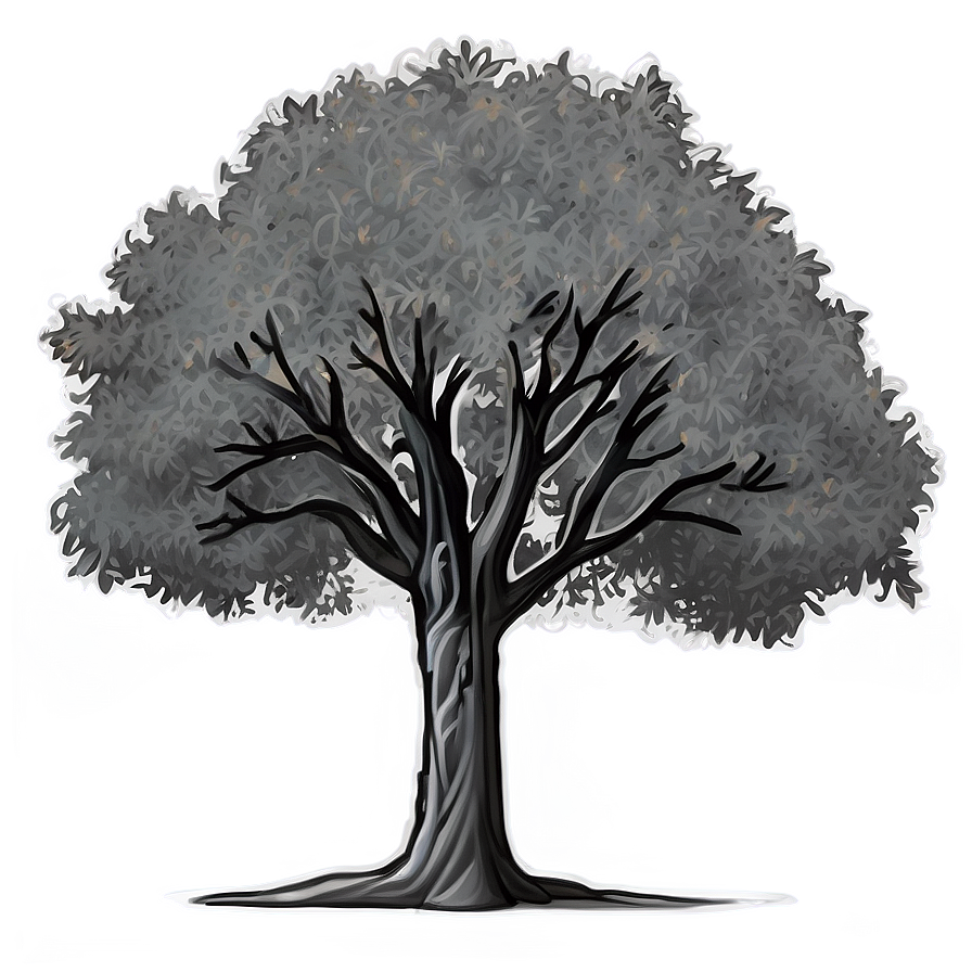 Grayscale Tree Outline Png 06252024