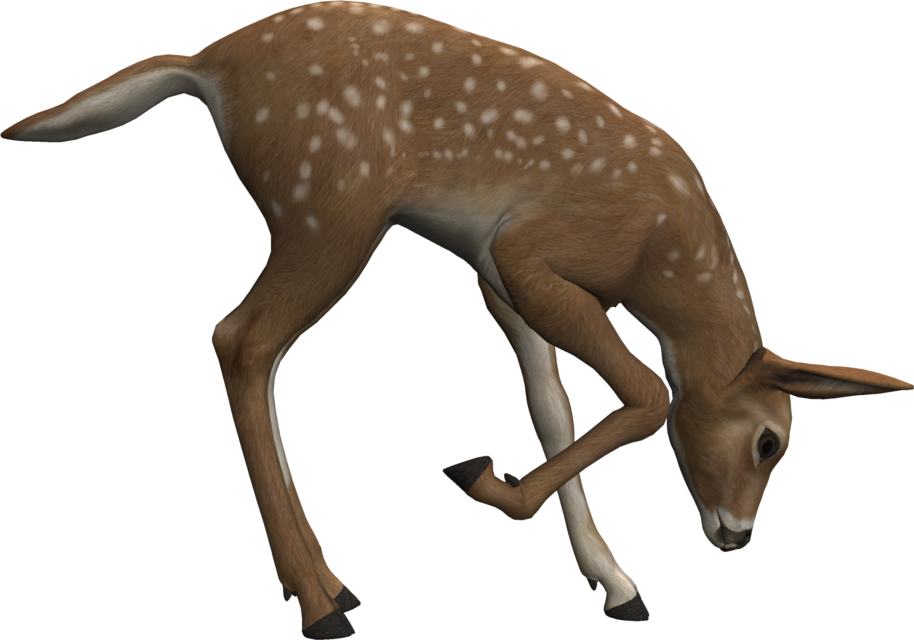 Grazing Fawn3 D Model