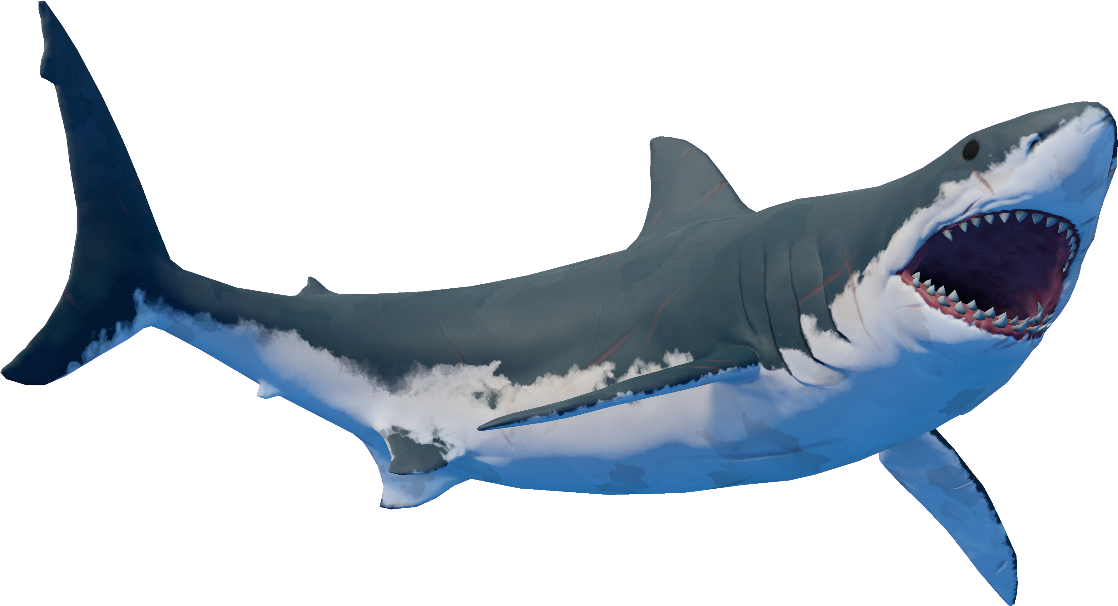 Great_ White_ Shark_ Illustration