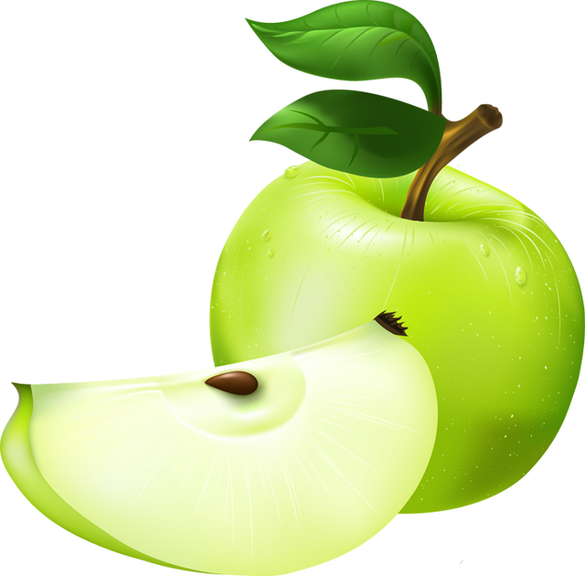 Green Apple Slice Illustration