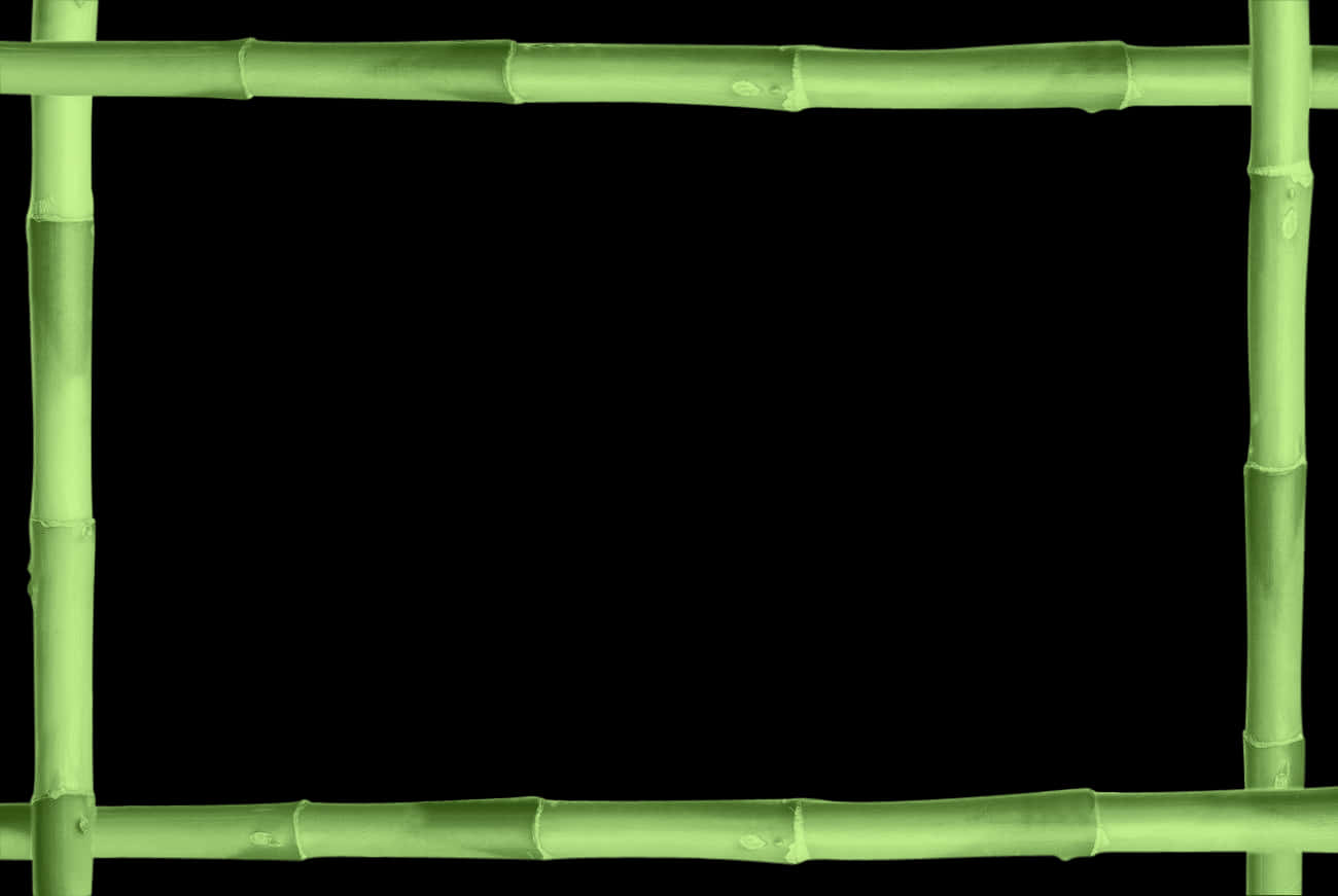 Green Bamboo Frame Background