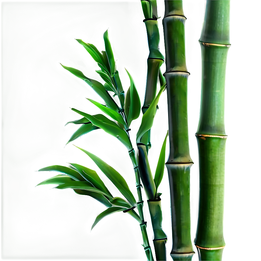 Green Bamboo Leaves Png 05232024