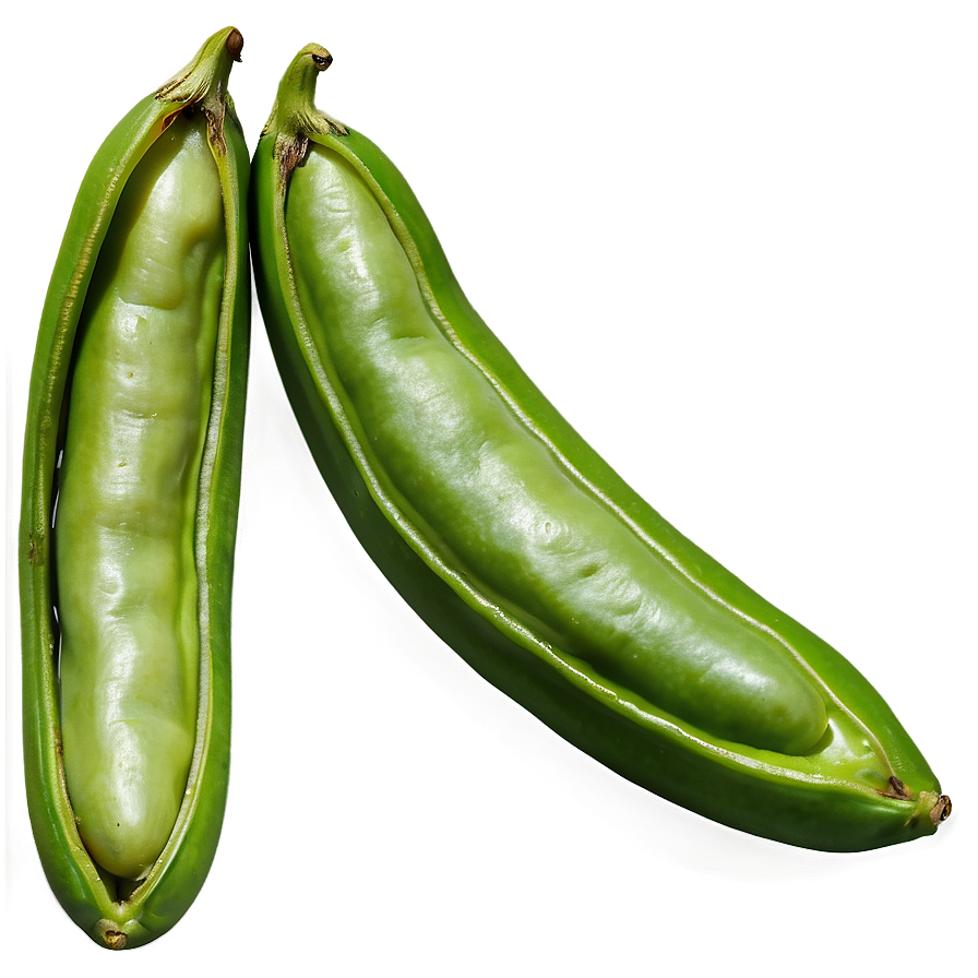 Green Bean Drawing Png Fkw5