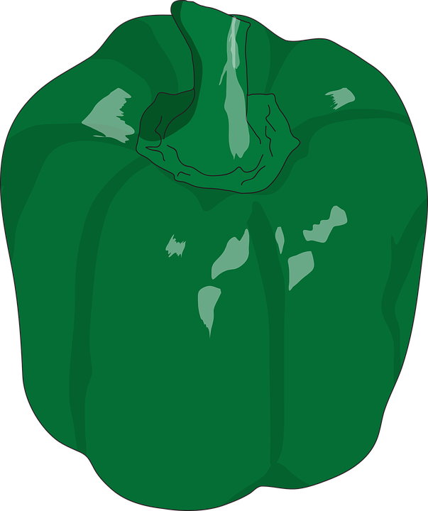 Green Bell Pepper Illustration