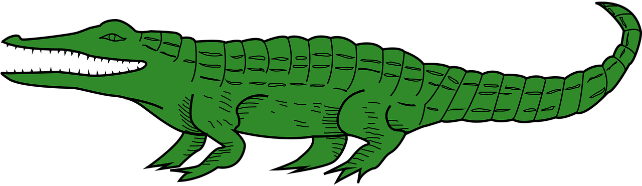 Green Cartoon Crocodile