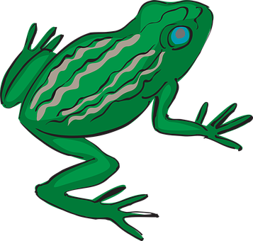 Green Cartoon Frog Illustration