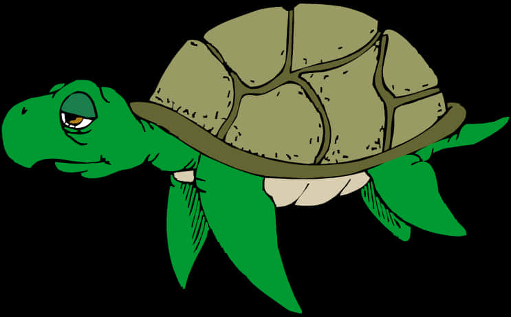 Green Cartoon Turtle Illustration