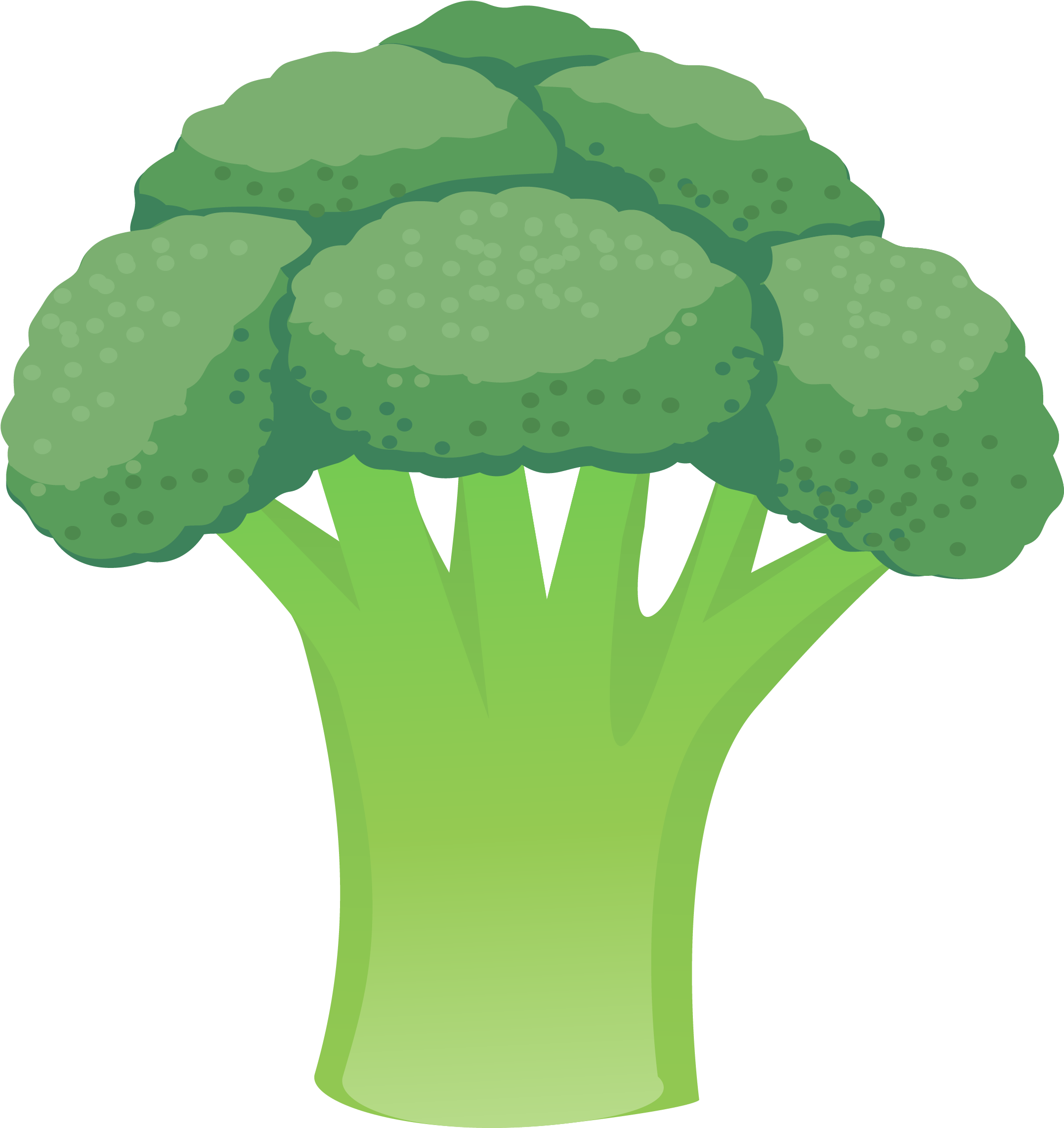 Green Cauliflower Illustration