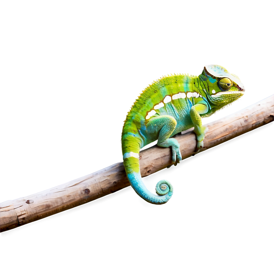 Green Chameleon On Branch Png 05062024