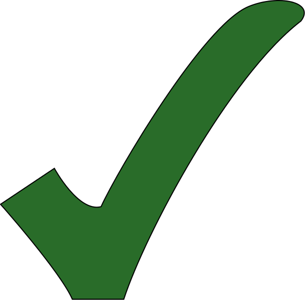 Green Checkmark Graphic