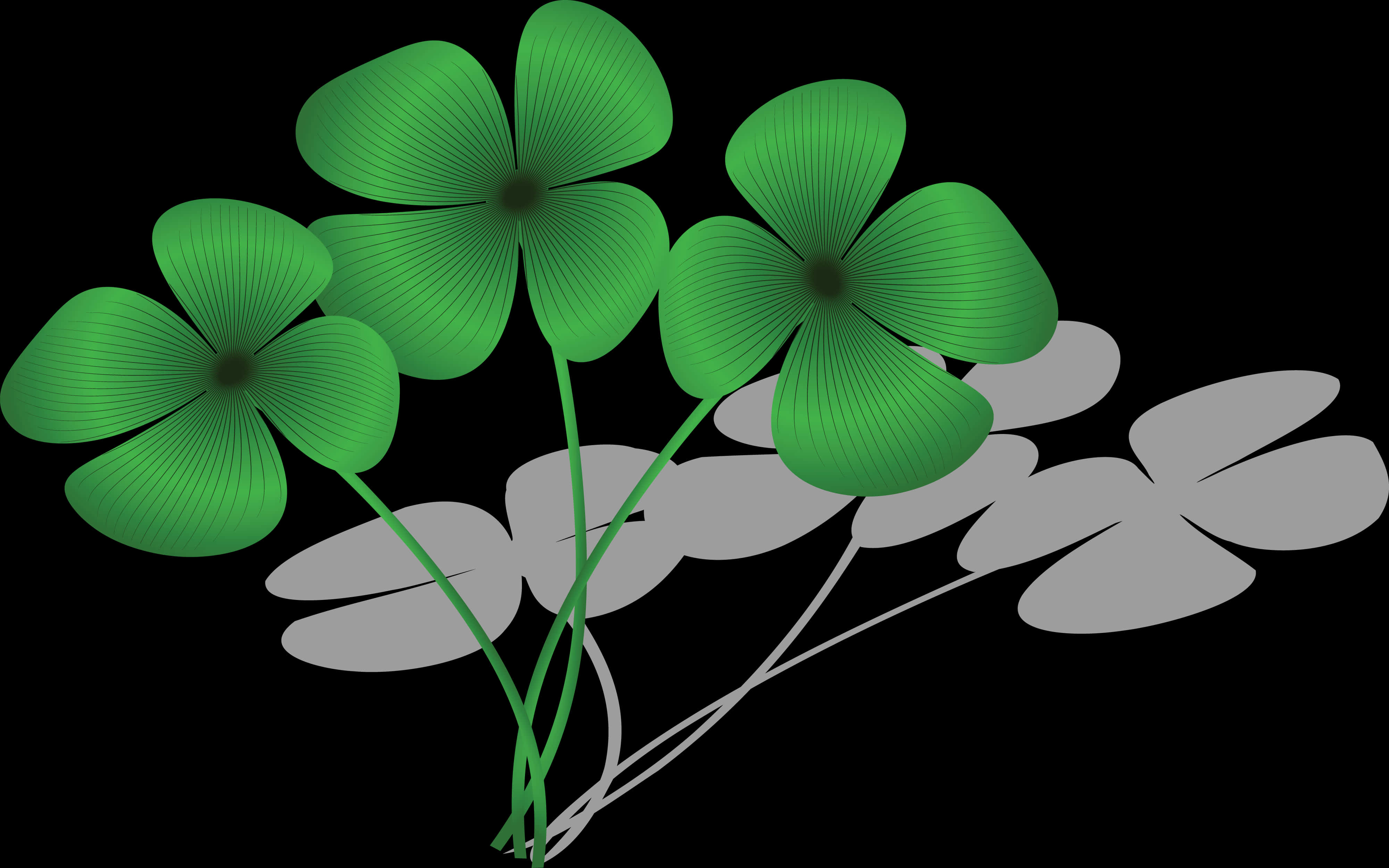 Green Clover Illustration