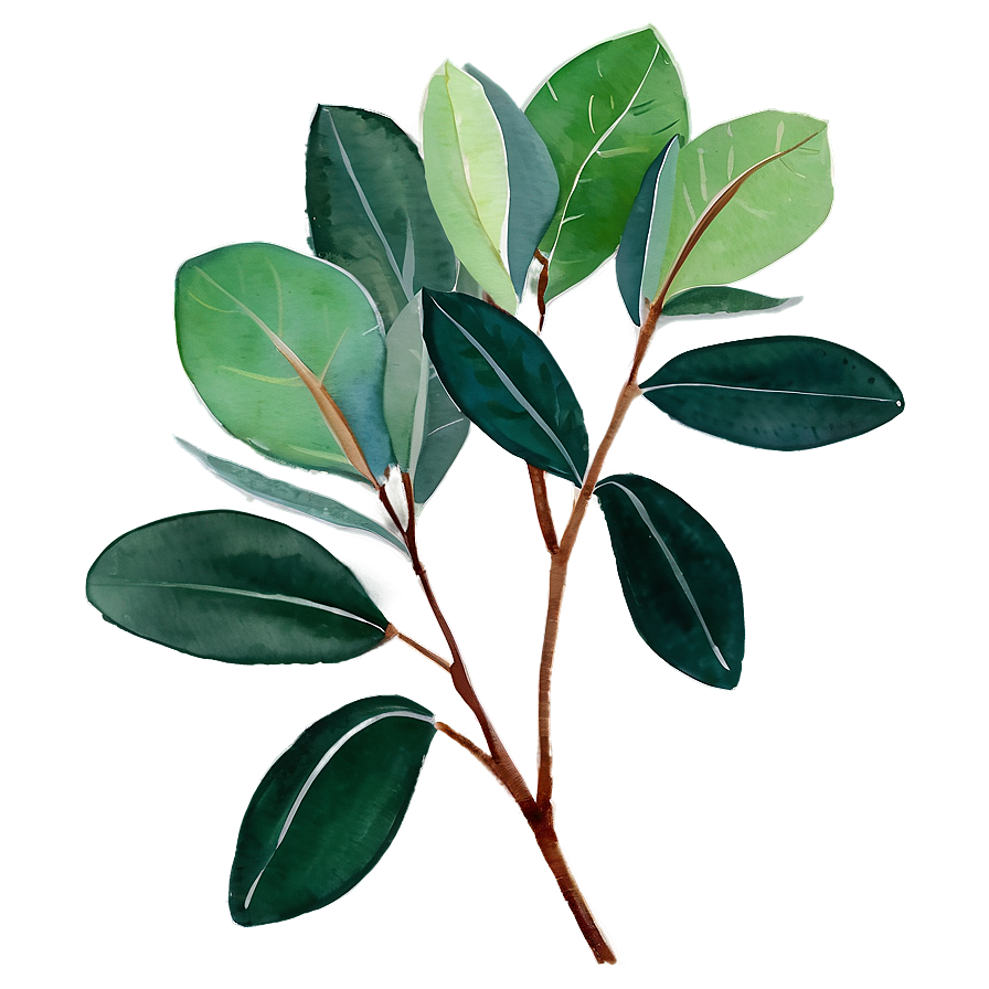 Green Eucalyptus Watercolor Illustration Png Iyo