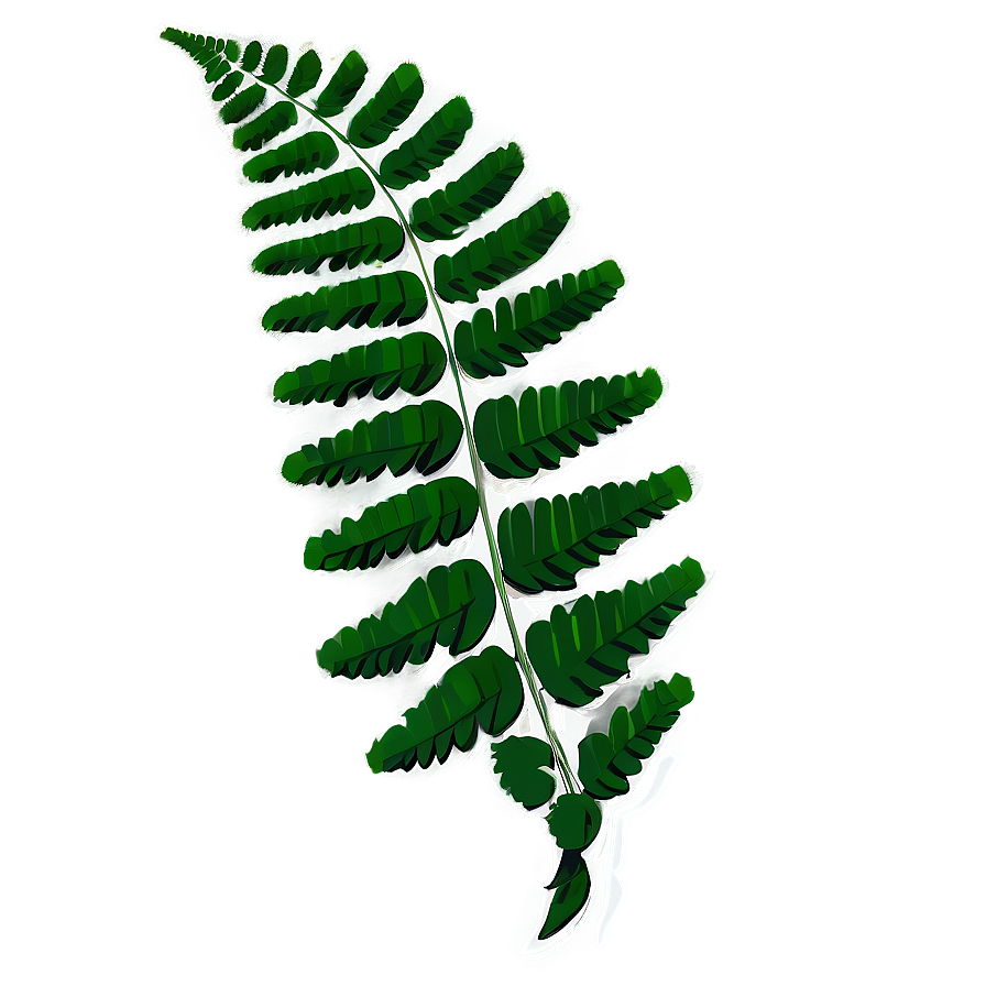 Green Fern Leaf Graphic Png Dcy