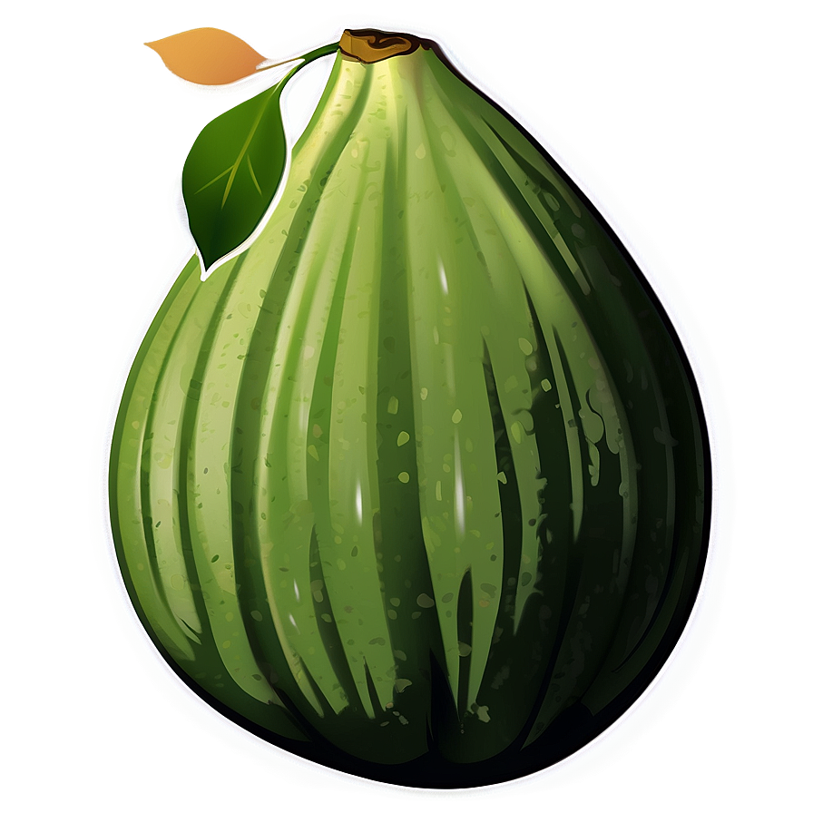 Green Fig Artwork Png 96