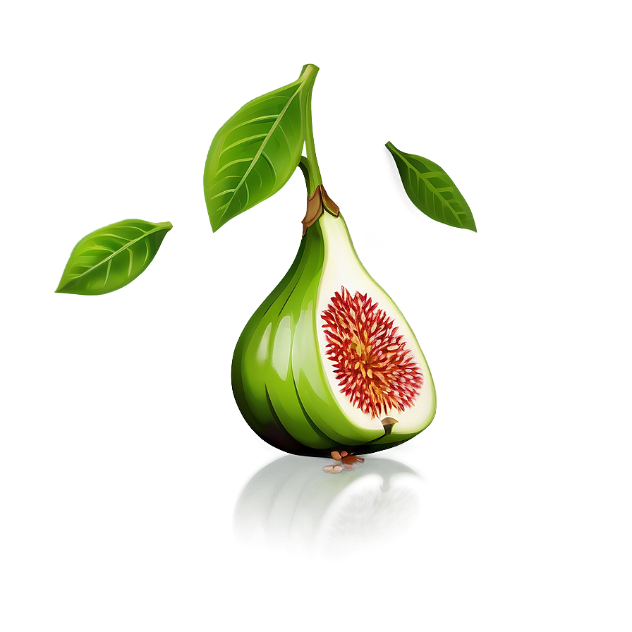 Green Fig Artwork Png Bop