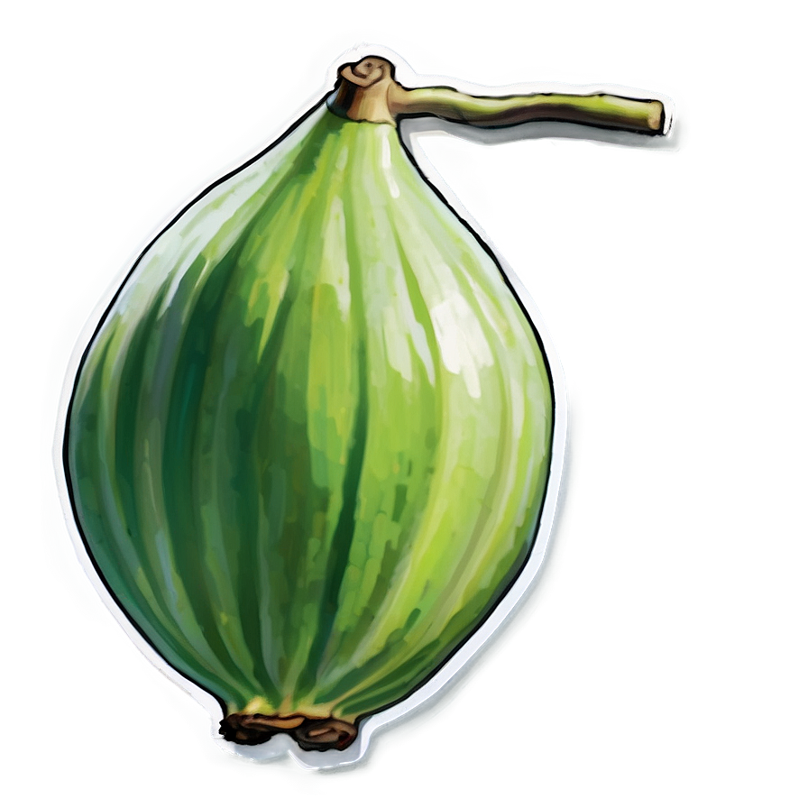 Green Fig Artwork Png Clk