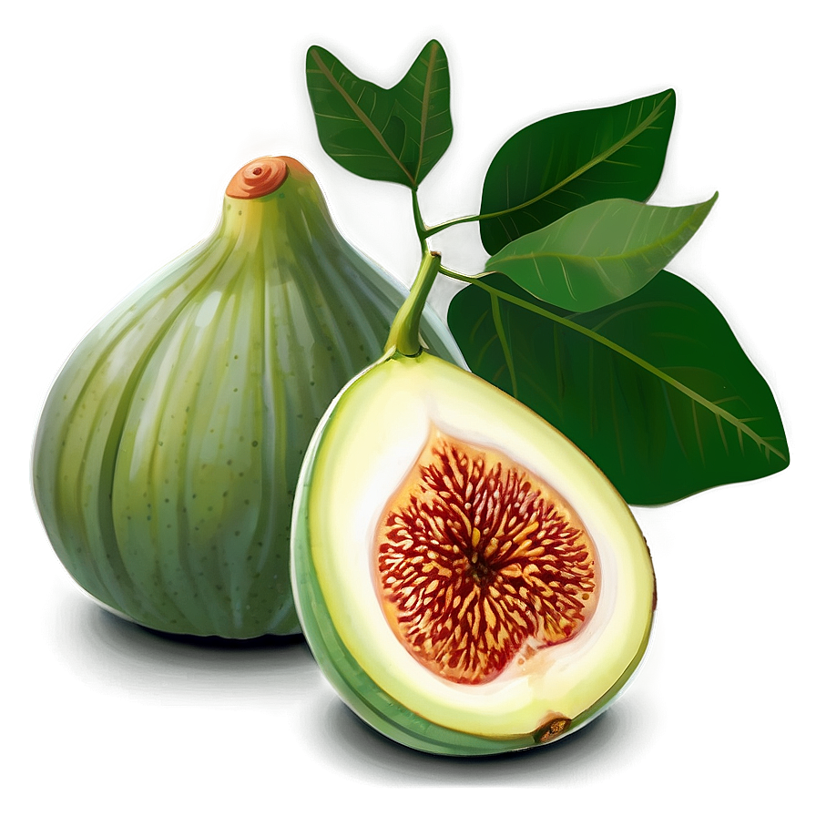 Green Fig Artwork Png Pml90