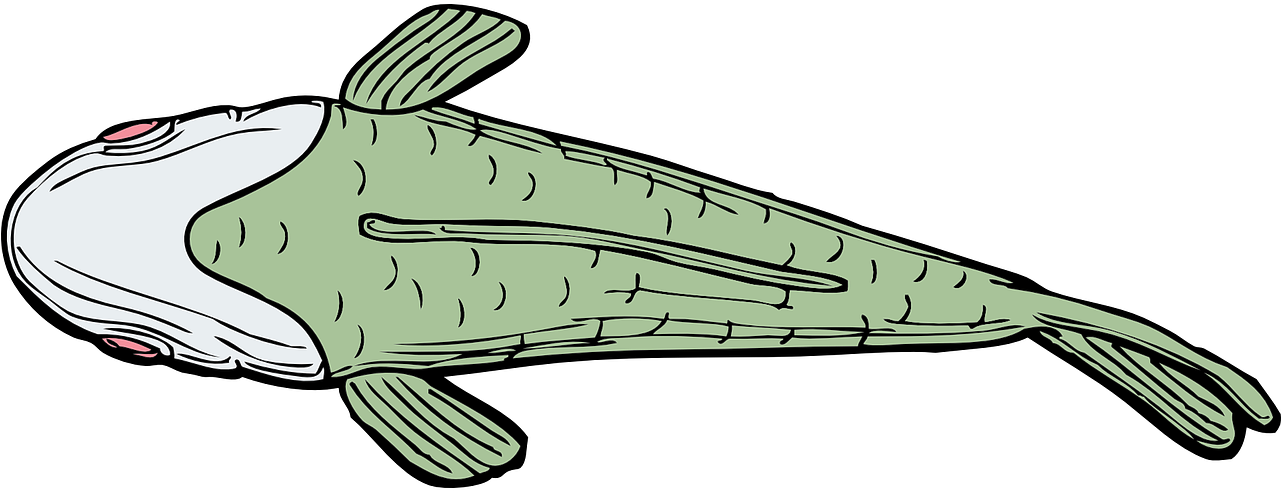 Green Fish Cartoon Illustration