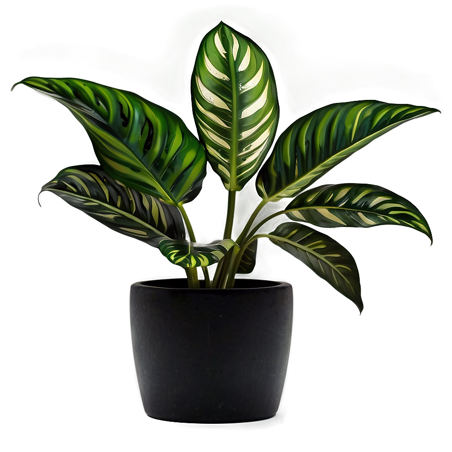 Green Floor Plant Png 27