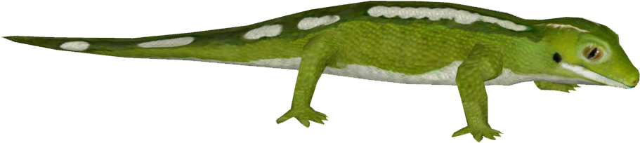 Green Gecko Illustration