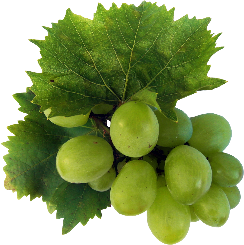 Green Grapeswith Leaves