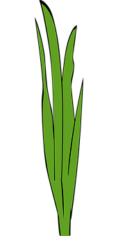 Green Grass Blades Graphic