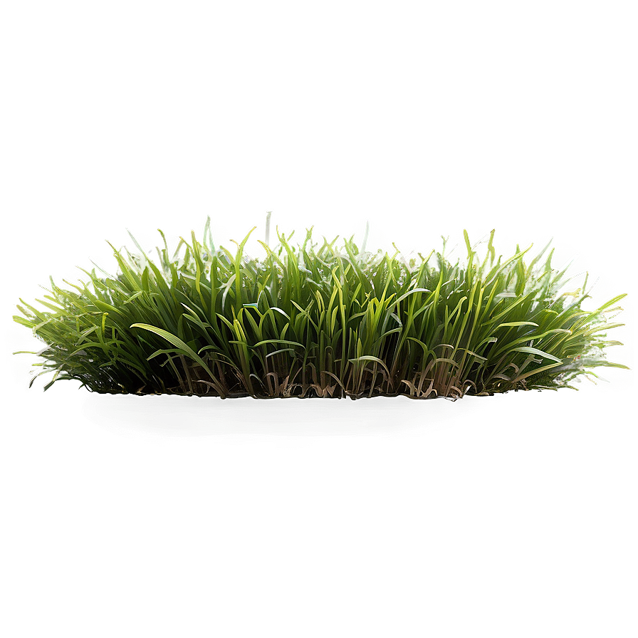 Green Grass Field Png Ydt24