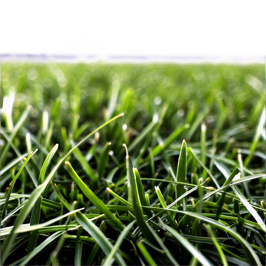 Green Grass For Sports Field Png 06262024