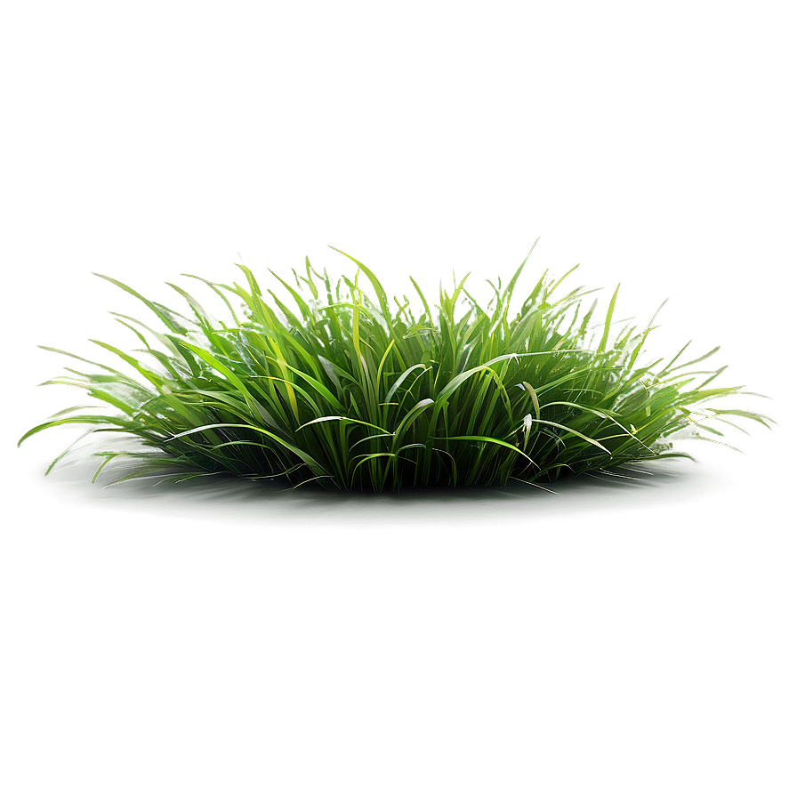 Green Grass In Wind Png 82