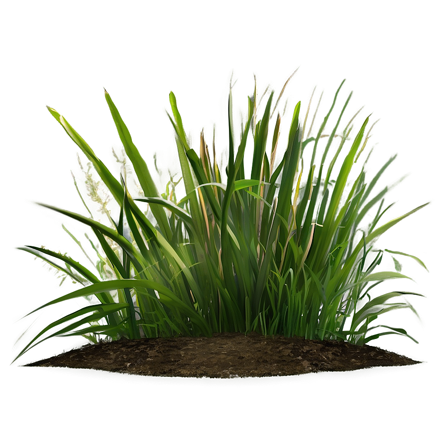 Green Grass Patch Png 26