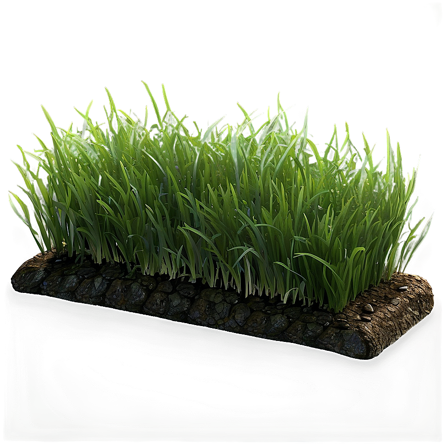 Green Grass Patch Png 90