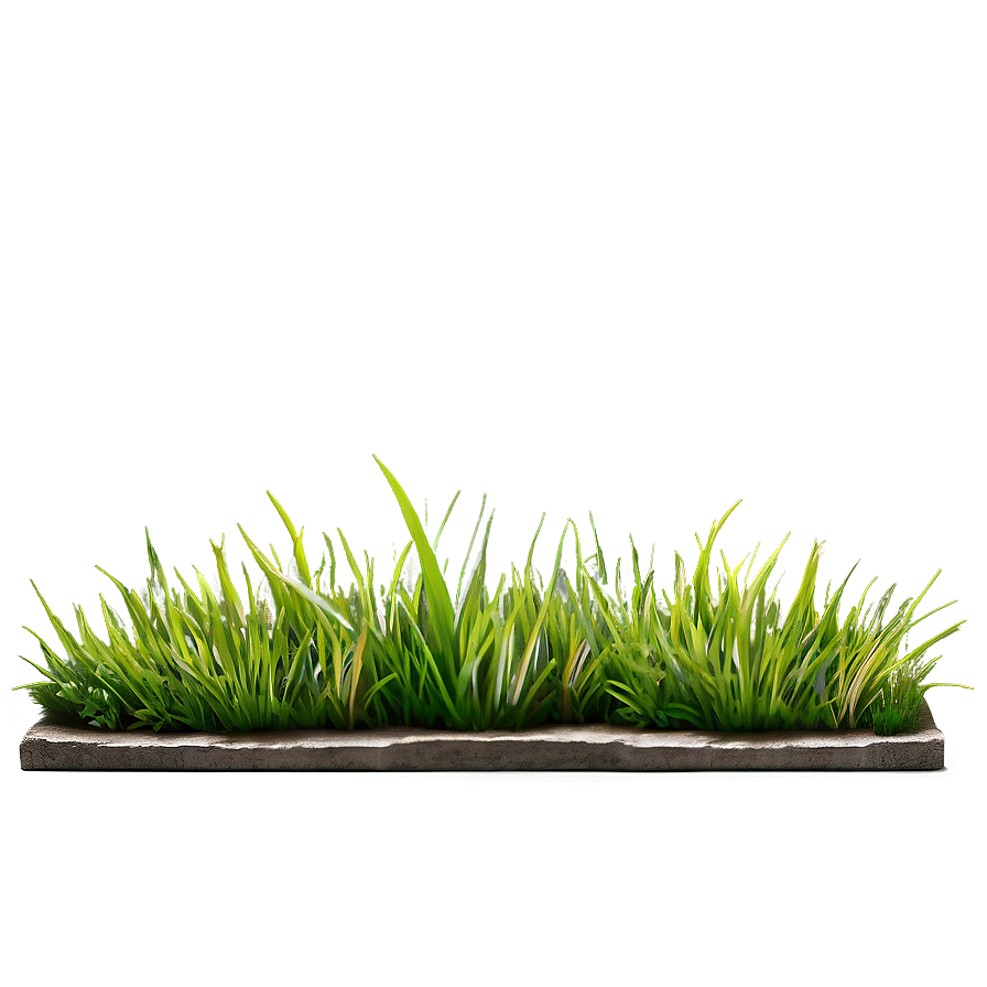 Green Grass Sidewalk Png Xyn